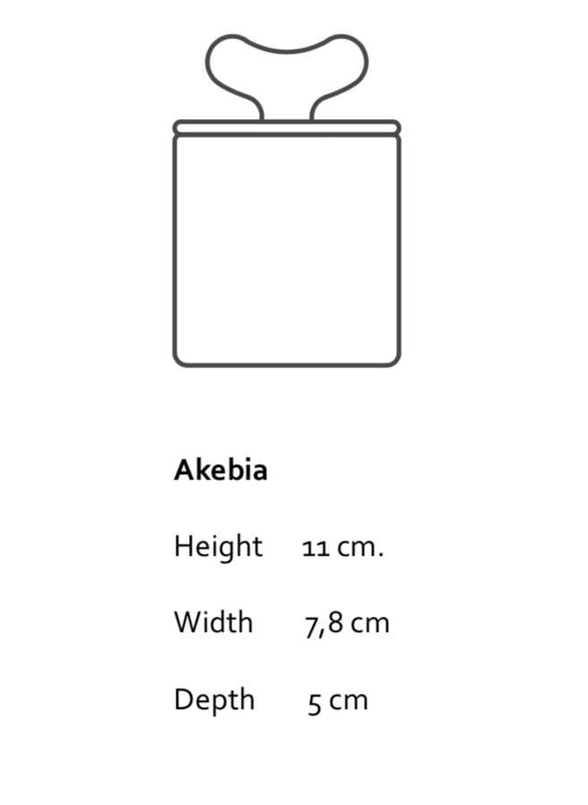 Akebia - dekorativer Porzellanbehälter